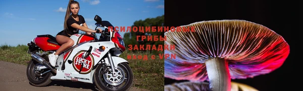 бошки Костерёво