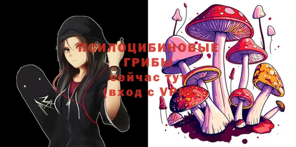 МДПВ Корсаков