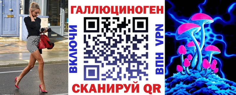 Псилоцибиновые грибы Psilocybe  Купить  Бакал 