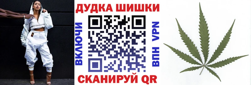 Купить где  Бакал  Шишки марихуана индика 